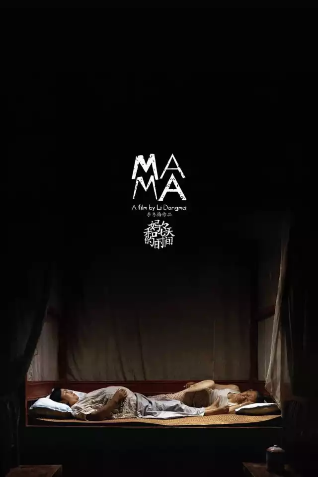 movie vertical poster fallback