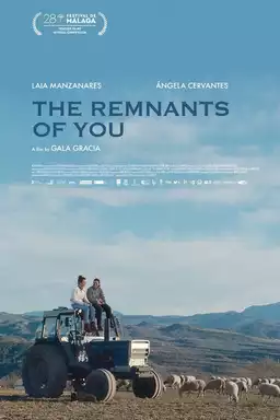 The Remnants of You