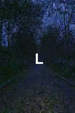 L