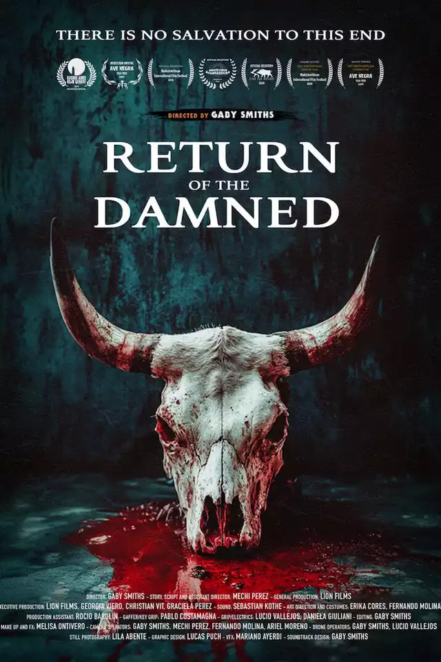 movie vertical poster fallback