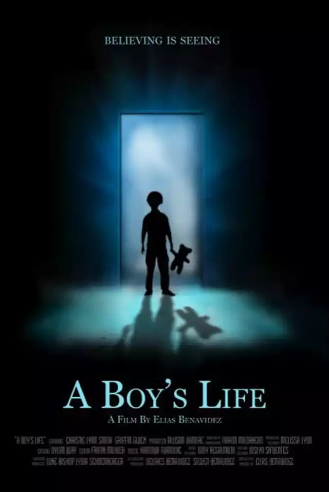 movie vertical poster fallback