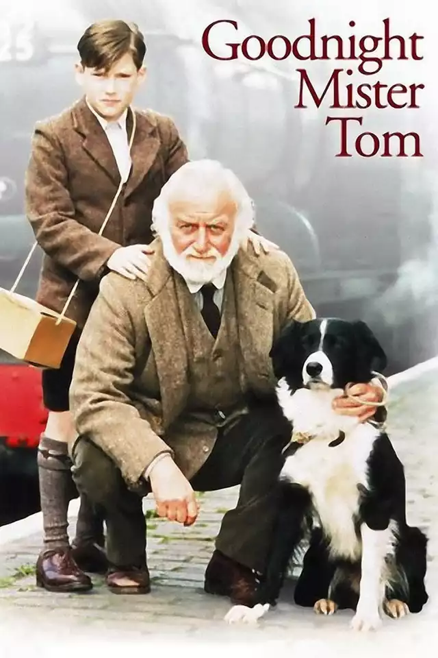 movie vertical poster fallback