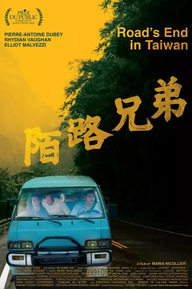 movie vertical poster fallback