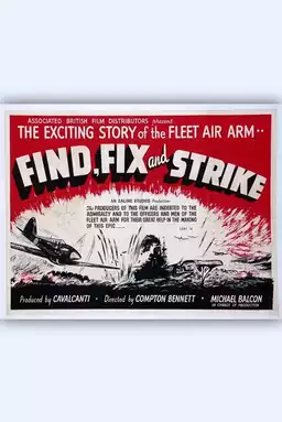 Find, Fix and Strike