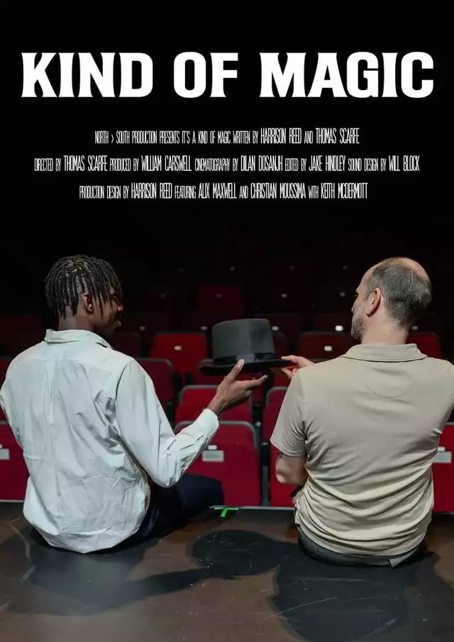 movie vertical poster fallback