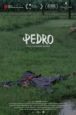 Pedro