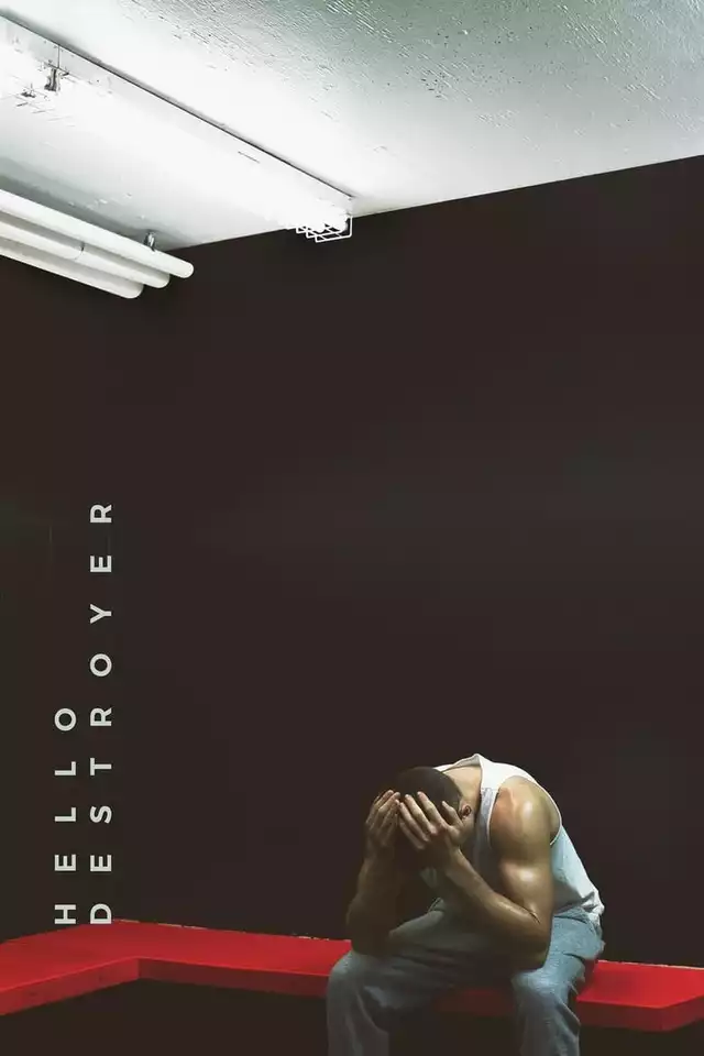 movie vertical poster fallback