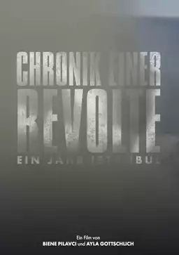 Chronicle of a Revolt: One Year Istanbul