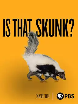 Is That Skunk?