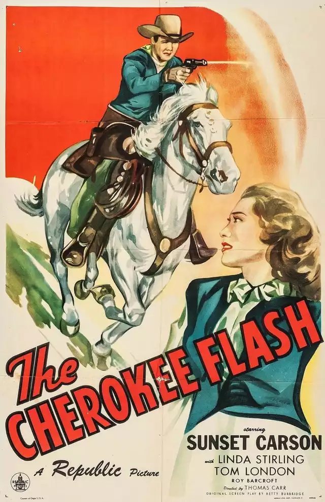 movie vertical poster fallback