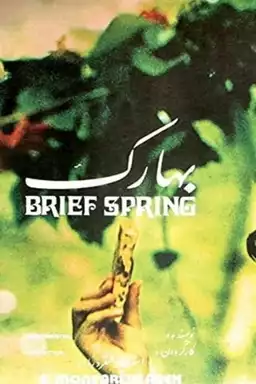 Brief Spring