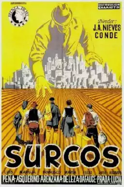 Surcos