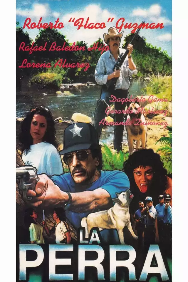 movie vertical poster fallback