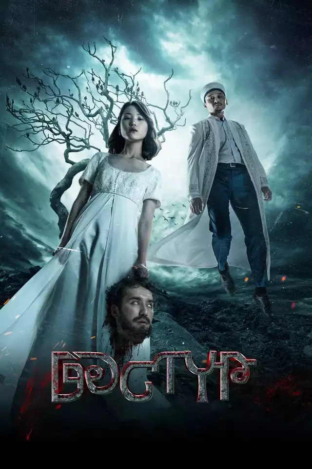 movie vertical poster fallback