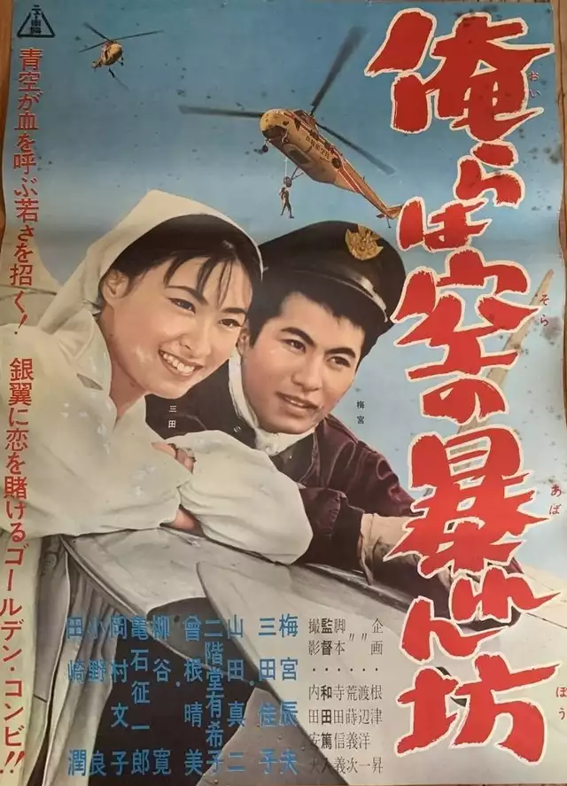 movie vertical poster fallback