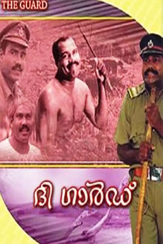 movie vertical poster fallback