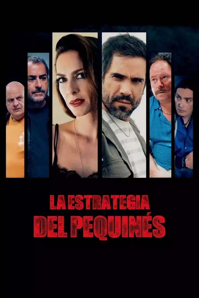 movie vertical poster fallback