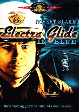 Electra Glide in Blue