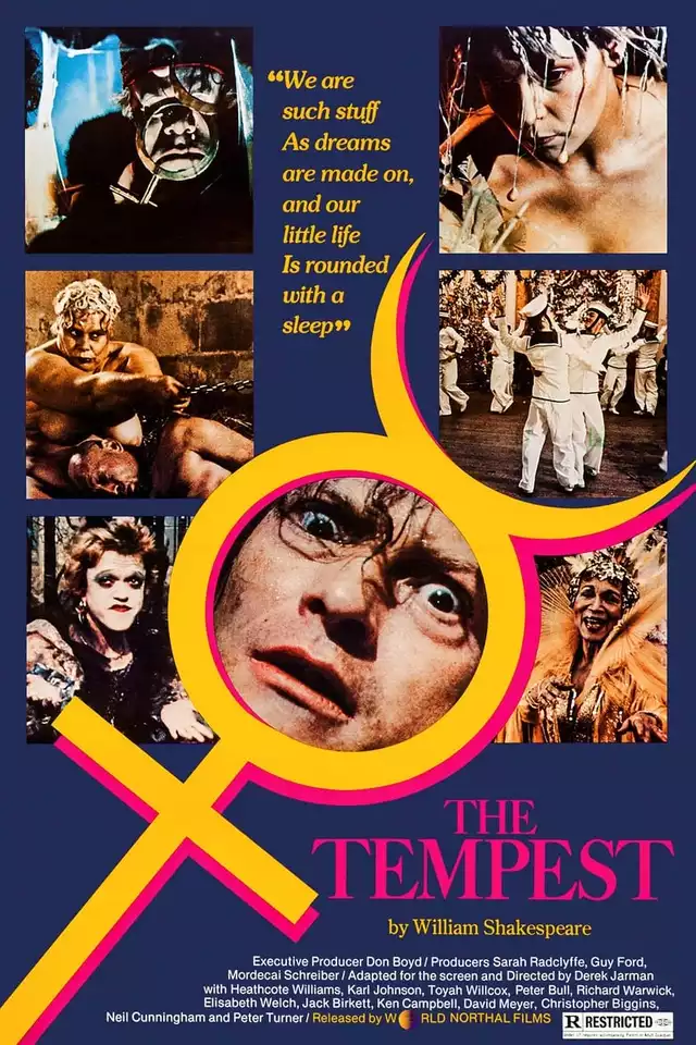 movie vertical poster fallback