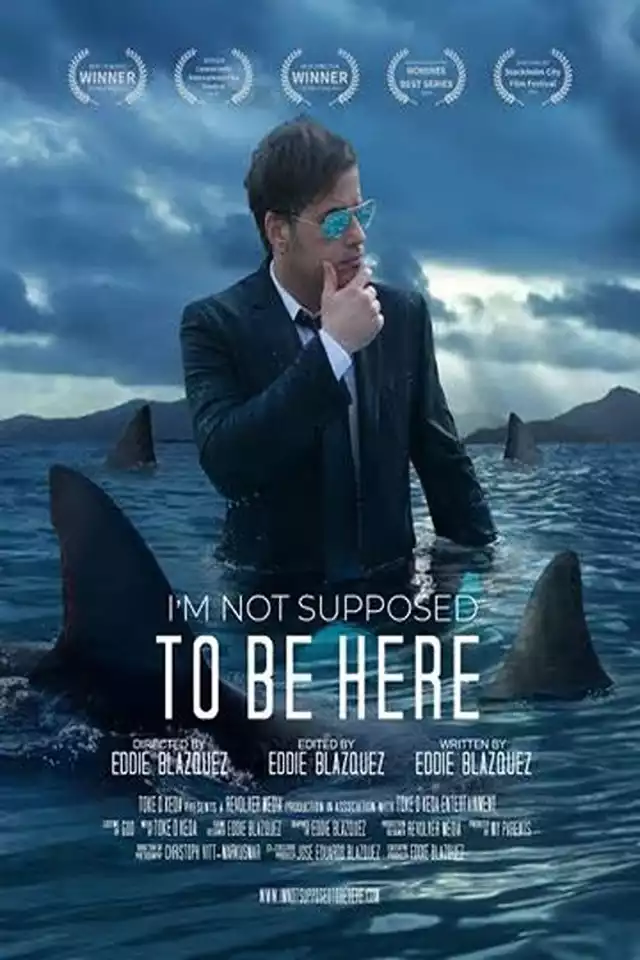movie vertical poster fallback