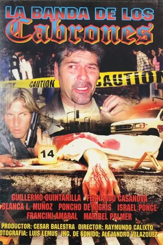 movie vertical poster fallback