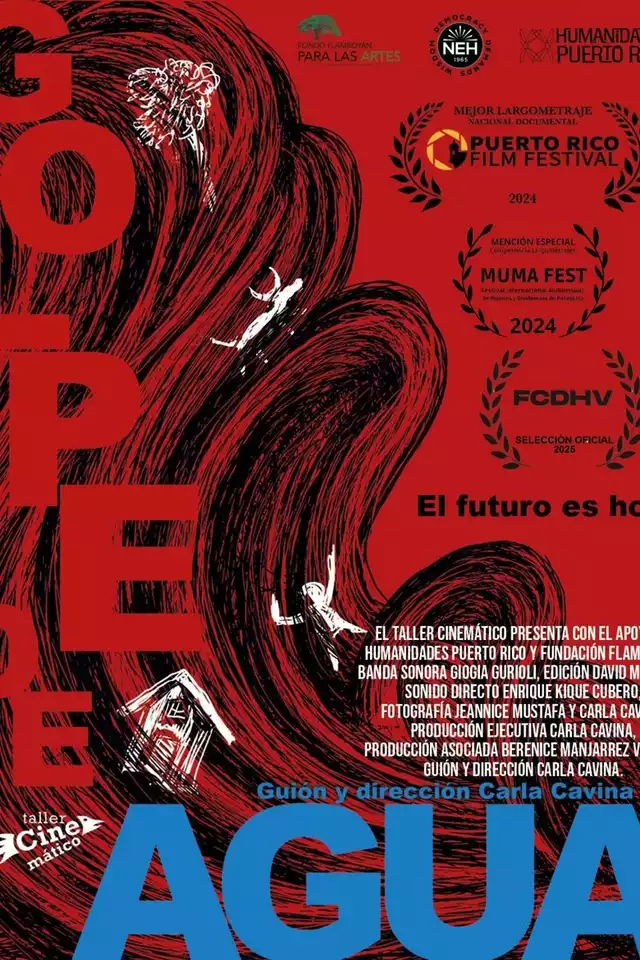 movie vertical poster fallback