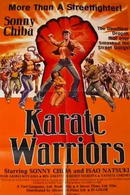 Karate Warriors