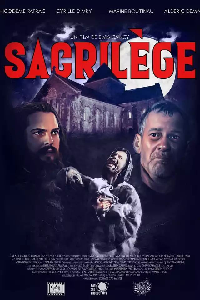 movie vertical poster fallback