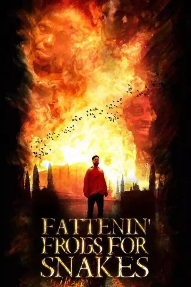 movie vertical poster fallback