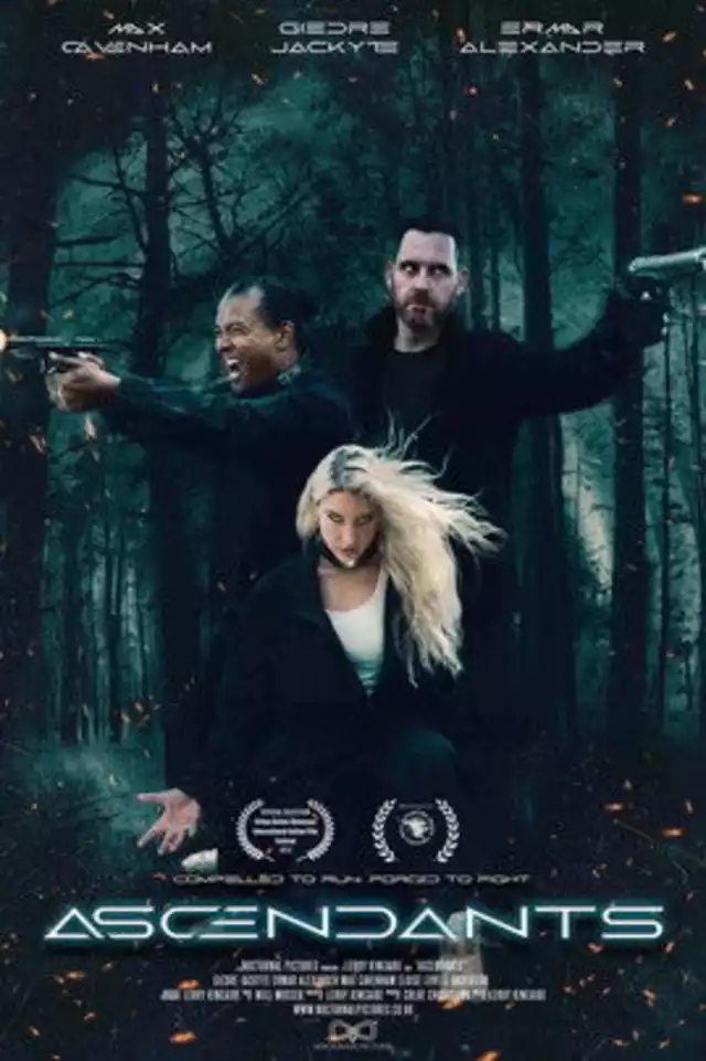 movie vertical poster fallback