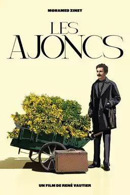 The Ajoncs