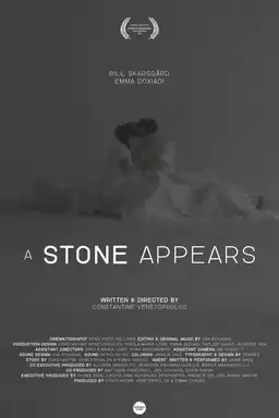 A Stone Appears