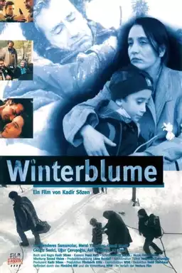 Winterblume