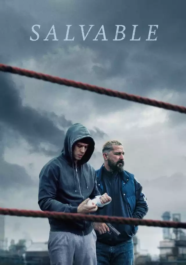 movie vertical poster fallback