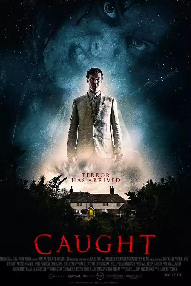 movie vertical poster fallback