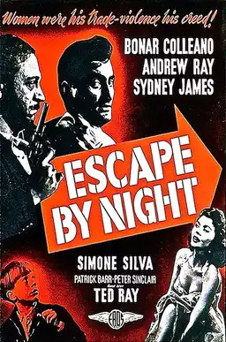 Escape by Night