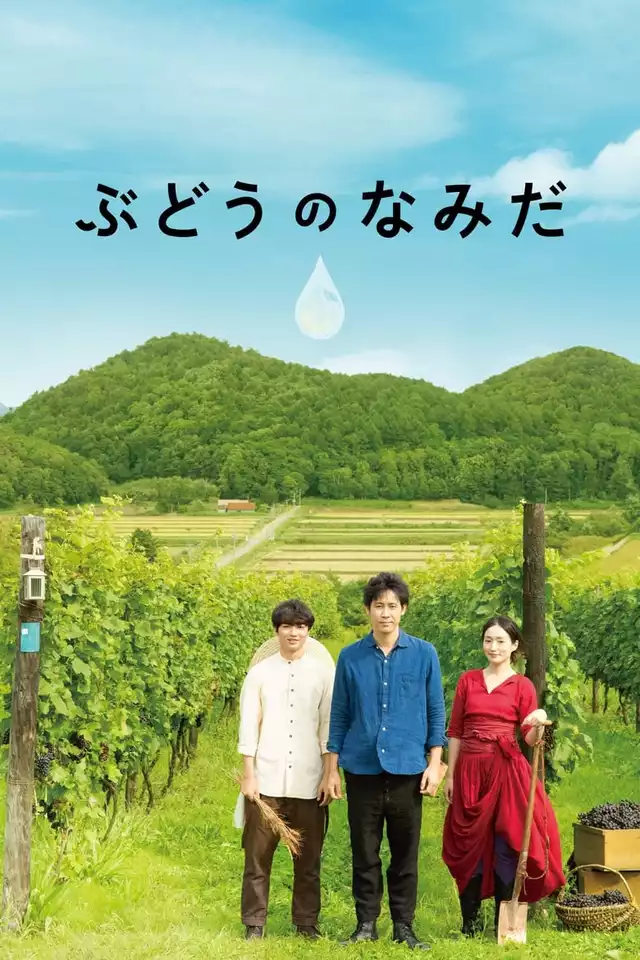 movie vertical poster fallback