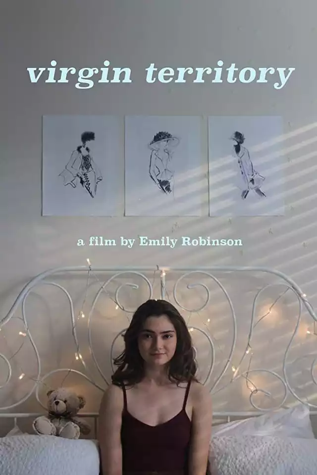 movie vertical poster fallback