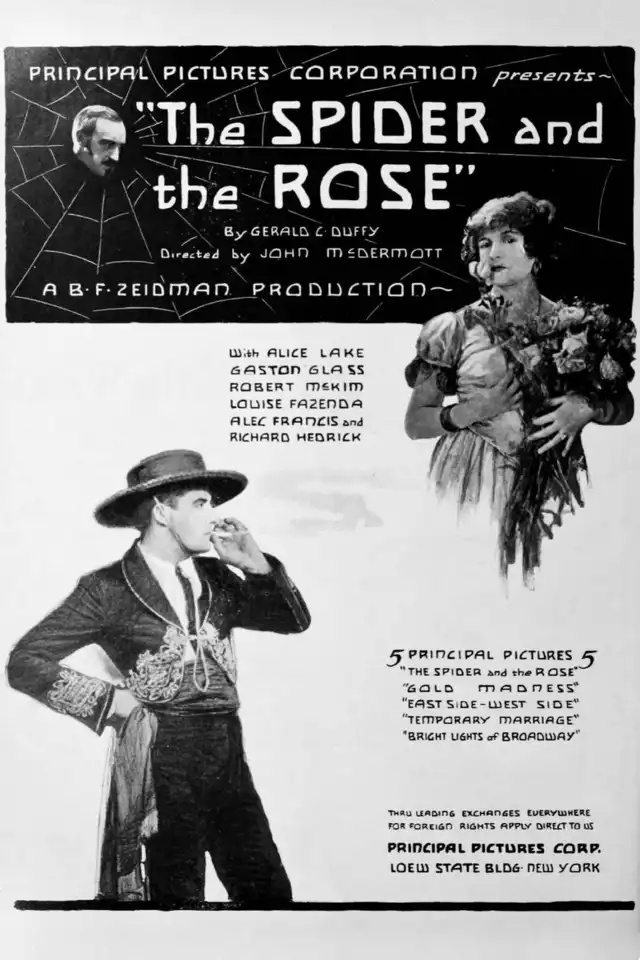 movie vertical poster fallback