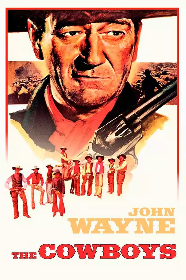 movie vertical poster fallback