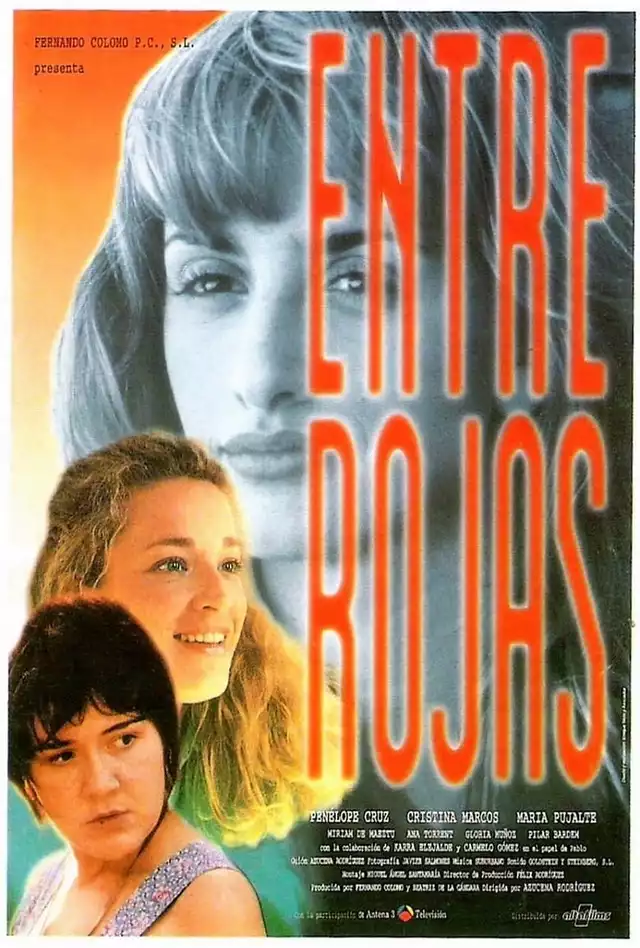 movie vertical poster fallback
