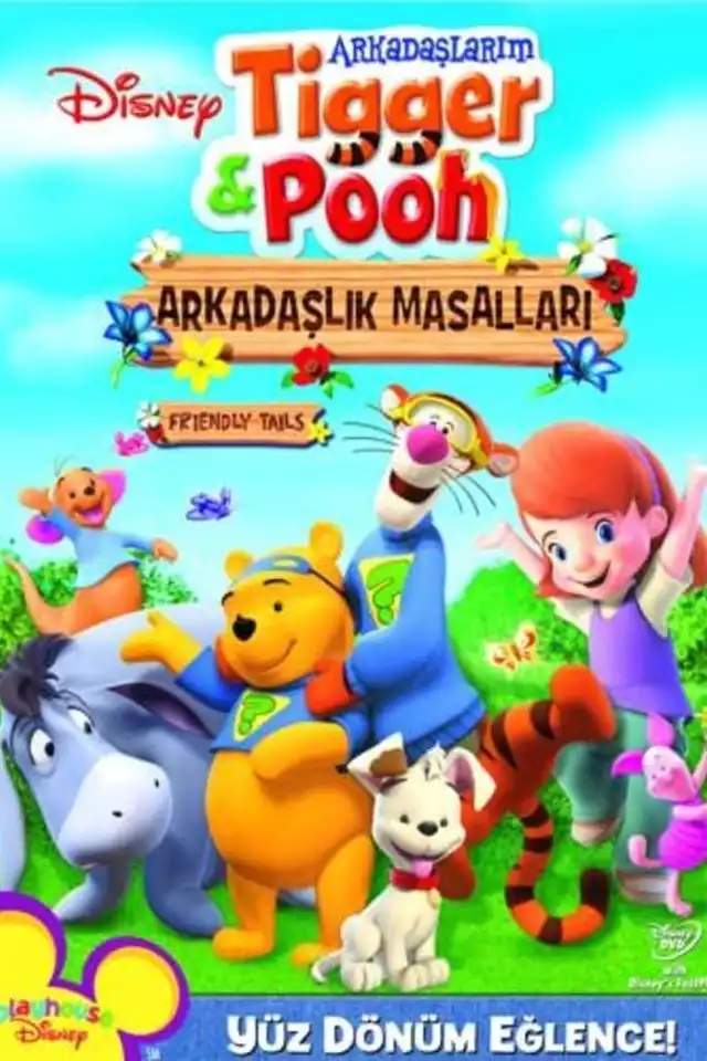 movie vertical poster fallback