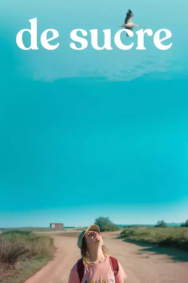 movie vertical poster fallback