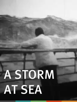 A Storm at Sea