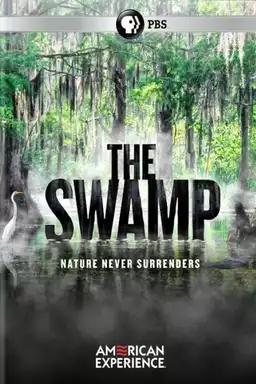 The Swamp