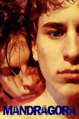 Mandragora