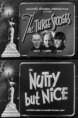Nutty But Nice