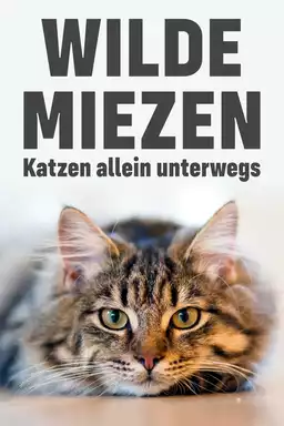 Wilde Miezen - Katzen allein unterwegs