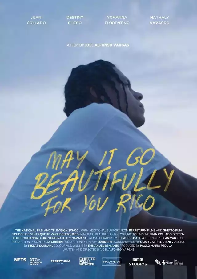 movie vertical poster fallback