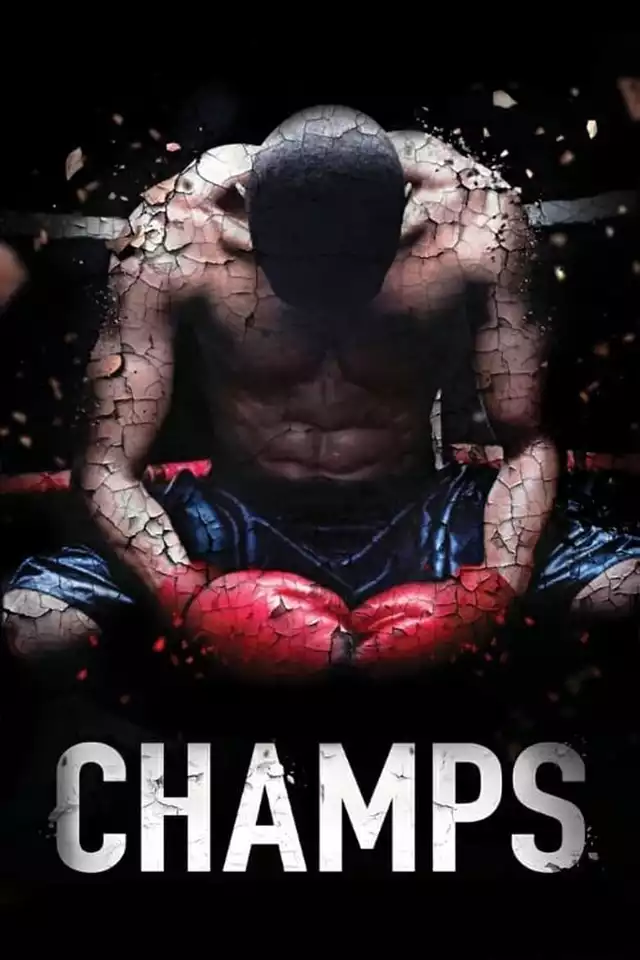 movie vertical poster fallback